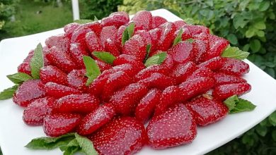 Kandované jahody — jsou neuvěřitelně aromatickou, krásnou a chutnou pochoutkou, kterou si můžete užívat v každém ročním období