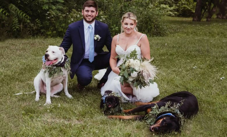 Tento pár uspořádal svatbu na poslední chvíli na veterině, aby jejich starší pes mohl být také přítomen Tento pár uspořádal svatbu na poslední chvíli na veterině, aby jejich starší pes mohl být také přítomen