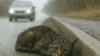 «Čekal jsem, že se vrátíš…»