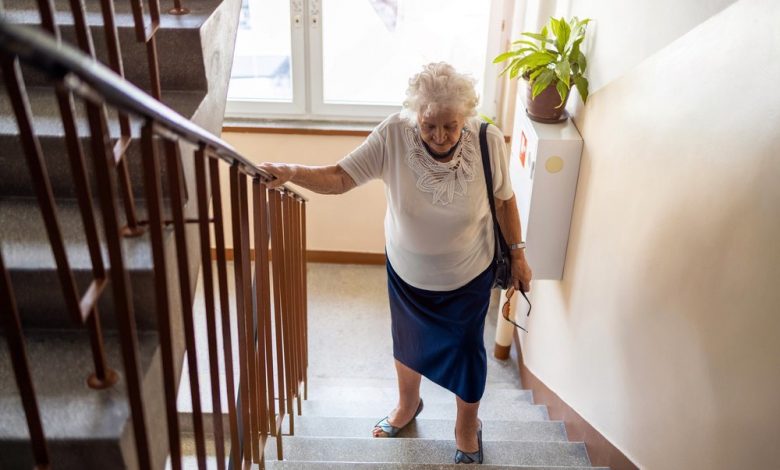 7 ovoce, které pomáhá zastavit ztrátu síly u starších lidí