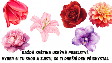 Vyber květinu — a zjistěte, co vám dnešní den připravil
