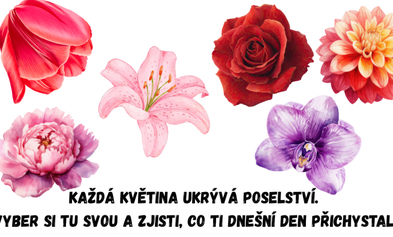 Vyber květinu — a zjistěte, co vám dnešní den připravil Vyber květinu — a zjistěte, co vám dnešní den připravil