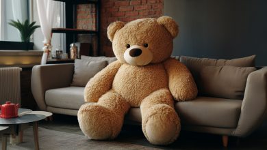 Darovala jsem dárek s dobrým srdcem… a ráno jsem uviděla něco, z čeho se mi sevřelo srdce…