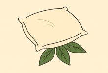 Tchýně každou chvíli dává mému muži bobkový list pod polštář. Myslela jsem si, že je to nějaká magie… až do chvíle, kdy jsem zjistila pravdu…