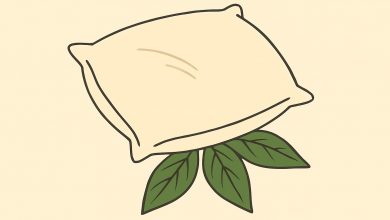 Tchýně každou chvíli dává mému muži bobkový list pod polštář. Myslela jsem si, že je to nějaká magie… až do chvíle, kdy jsem zjistila pravdu… Tchýně každou chvíli dává mému muži bobkový list pod polštář. Myslela jsem si, že je to nějaká magie… až do chvíle, kdy jsem zjistila pravdu…