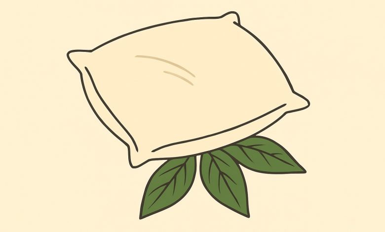 Tchýně každou chvíli dává mému muži bobkový list pod polštář. Myslela jsem si, že je to nějaká magie… až do chvíle, kdy jsem zjistila pravdu… Tchýně každou chvíli dává mému muži bobkový list pod polštář. Myslela jsem si, že je to nějaká magie… až do chvíle, kdy jsem zjistila pravdu…