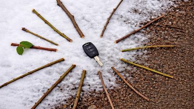 Dnes ráno jsem na běhu v lese ztratil klíč od auta. Co se stalo dál, jsem si ani nedokázal představit…