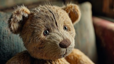 Přivezla jsem své dceři starého plyšového medvídka z mého dětství. A po nějaké době se ukázalo, že hračka z mého dětství není tak nevinná, jak jsem si myslela…