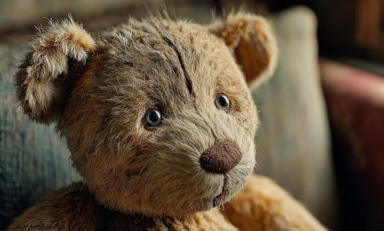 Přivezla jsem své dceři starého plyšového medvídka z mého dětství. A po nějaké době se ukázalo, že hračka z mého dětství není tak nevinná, jak jsem si myslela…
