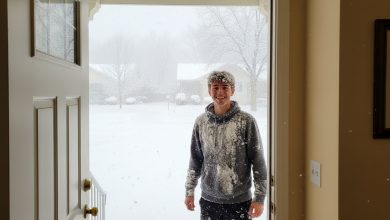 Půjčila jsem pohovku neznámému muži — v noci mi vtrhl do ložnice.