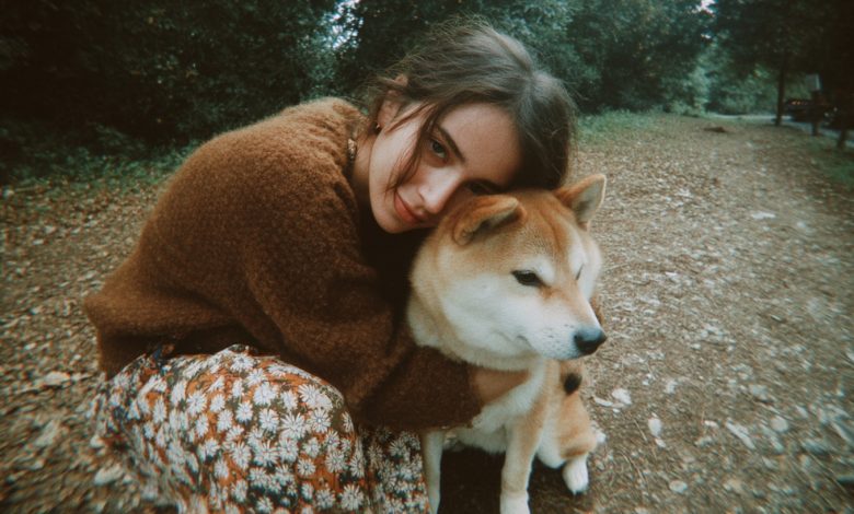 Ségry se dělily o dům po babičce. Já jsem si vzala jen jejího starého psa — a oněměla jsem, když jsem naskenovala kód na jeho obojku