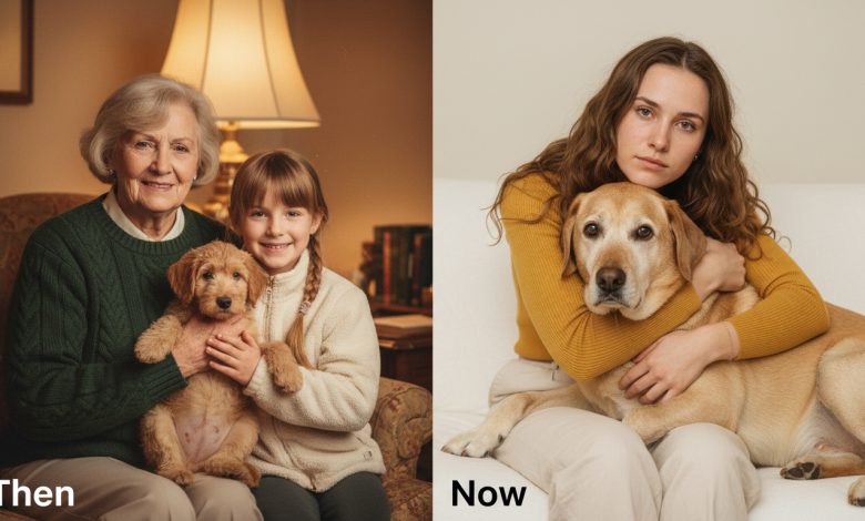 Babička odkázala chamtivému bratranci sto tisíc. Mně — starého psa. Ukázalo se, že pes skrýval tajemství Babička odkázala chamtivému bratranci sto tisíc. Mně — starého psa. Ukázalo se, že pes skrýval tajemství