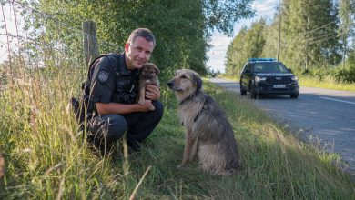 Štěně vyběhlo k policistům pro pomoc. To, co se stalo dál, je těžké zapomenout…