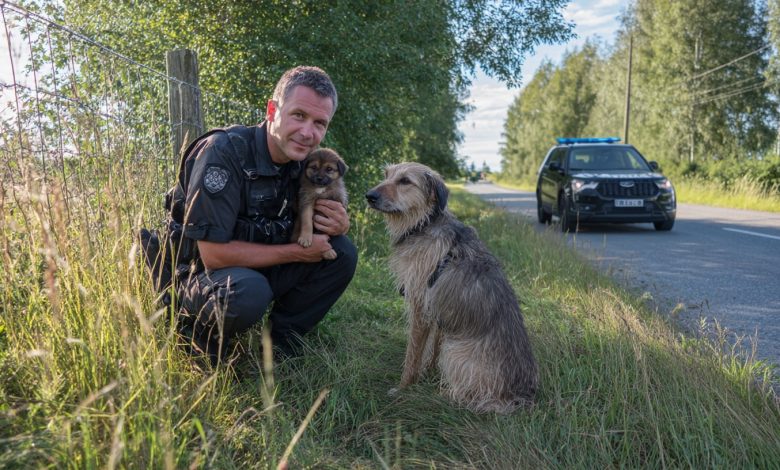 Štěně vyběhlo k policistům pro pomoc. To, co se stalo dál, je těžké zapomenout…
