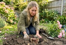 Rok poté, co babička odešla, jsem splnil svůj slib a přemístil její růžový keř — Nikdy bych nečekal, co bylo pod ním zakopáno Rok poté, co babička odešla, jsem splnil svůj slib a přemístil její růžový keř — Nikdy bych nečekal, co bylo pod ním zakopáno