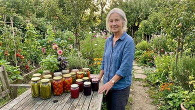 „Třicet let jsem trávila každé léto na chatě — záhonky, zavařeniny… Manžel a děti jezdily o víkendech, dělaly grilování, odpočívaly a odjížděly. Loni v červnu jsem chatu zavřela a poprvé v životě odletěla sama k moři. Manžel nechápal. Děti odsoudily. A já jsem se vrátila a poprvé za třicet let pocítila — toto léto bylo moje.”