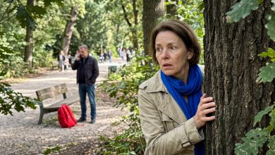Můj manžel každé ráno odcházel na procházku se svým telefonem. Jednoho dne jsem viděla, kam vlastně šel.