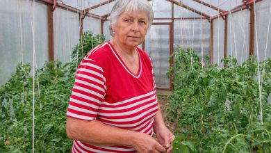 Tchyně si přijela pro náš sprchový kout… ale já jsem sehrála takové divadlo, že se studem celá zrudla…